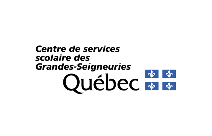 CSSDGS : Stratégie numérique et cartographie des besoins des équipes pour repenser l’intranet.